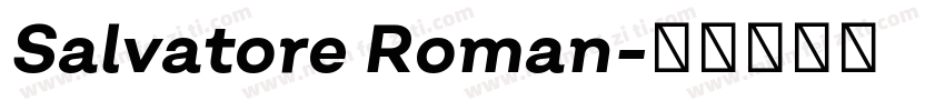 Salvatore Roman字体转换